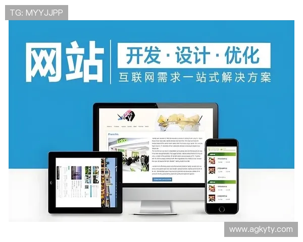 开云全站网站设计与开发技巧，打造符合用户体验的优质网站