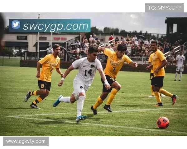 云开体育app官网入口网站为用户提供全面的体育赛事资讯和直播服务指南 云开体育app官网入口网站为用户提供全面的体育赛事资讯和直播服务指南