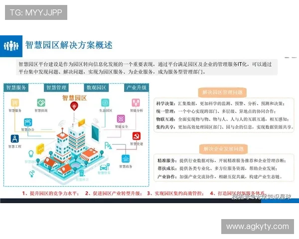 开云入口教程详解新手注册登录流程及常见问题解决方案